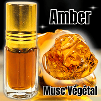 Amber élixir de Parfum Musc Végétal - 3ml